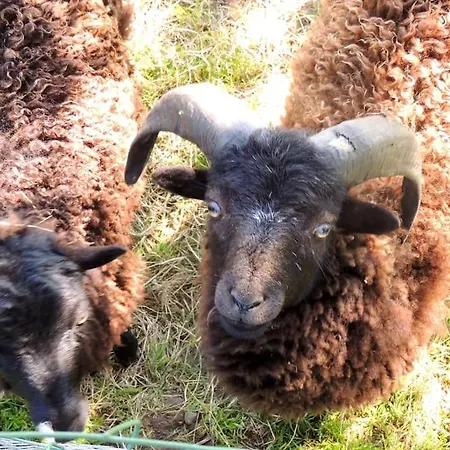 Bienvenue A La Seliniere ! * Champ-du-Boult