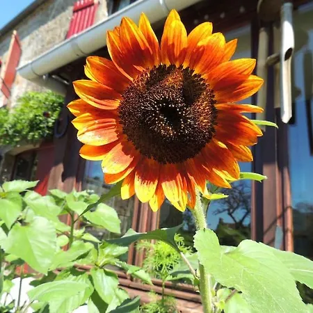Bienvenue A La Seliniere ! * Champ-du-Boult