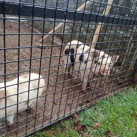 Bienvenue A La Seliniere ! * Champ-du-Boult