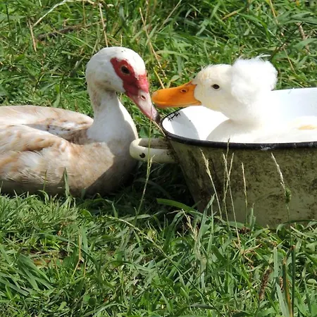 Bienvenue A La Seliniere ! *