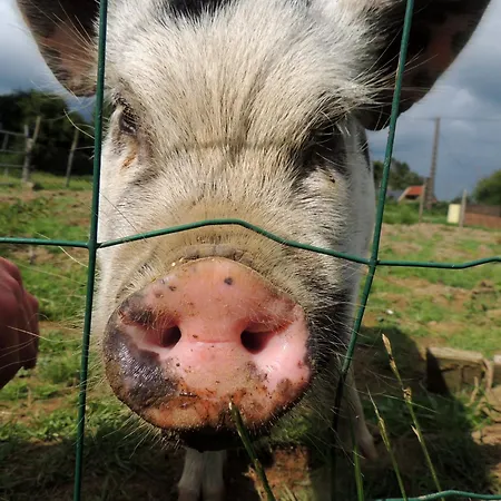 Dom wakacyjny Bienvenue A La Seliniere ! Champ-du-Boult
