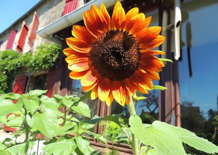 Bienvenue A La Seliniere ! * Champ-du-Boult