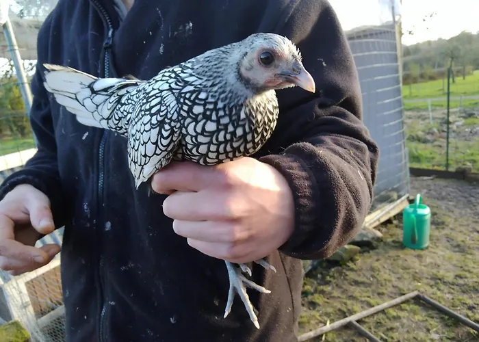 Bienvenue A La Seliniere ! Holiday home *