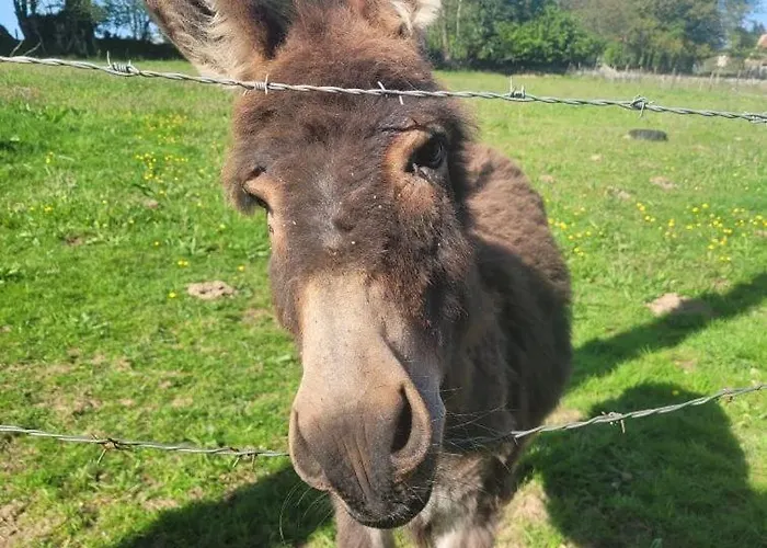 Bienvenue A La Seliniere ! Holiday home *