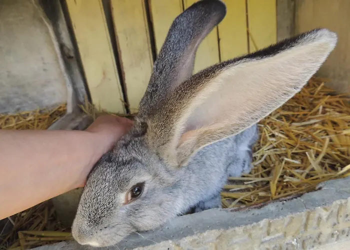 Bienvenue A La Seliniere ! * Champ-du-Boult