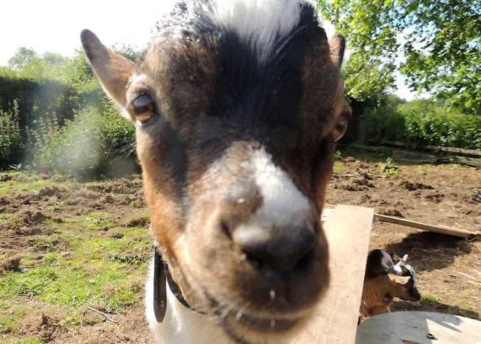 Holiday home Bienvenue A La Seliniere ! Champ-du-Boult