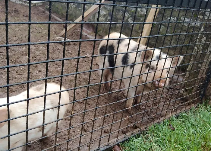 Bienvenue A La Seliniere ! * Champ-du-Boult