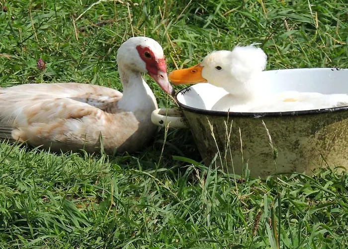 Bienvenue A La Seliniere ! *