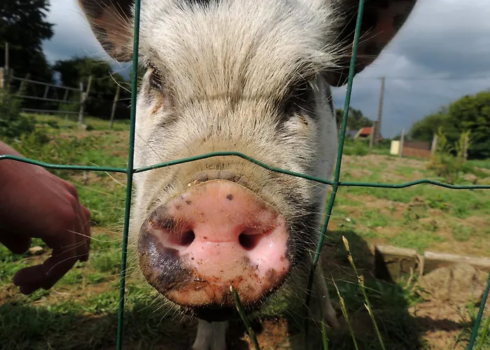 Holiday home Bienvenue A La Seliniere ! Champ-du-Boult