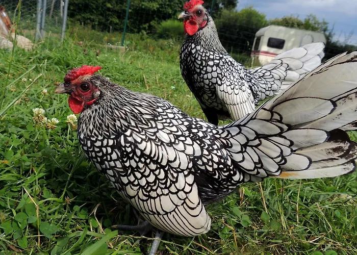 Bienvenue A La Seliniere ! Holiday home *